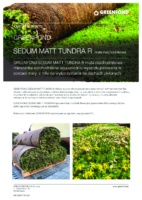GF SEDUM MATT TUNDRA R